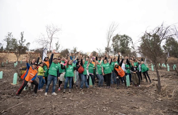 Fotografía de un grupo de voluntarios de ZSChile durante una jornada de reforestación en una ladera árida. Aproximadamente 30 personas con petos verdes y algunos con petos naranjas están reunidas en grupo, levantando sus brazos en señal de celebración. El terreno es seco y pedregoso, con árboles pequeños recién plantados protegidos por tubos verdes. Al fondo se observa un paisaje de colina con vegetación escasa y cielo gris. La imagen captura un momento de entusiasmo colectivo durante una actividad ambiental de plantación de árboles, mostrando el impacto positivo del voluntariado en la recuperación de espacios naturales degradados.